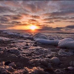 Meet your Posher, Jo-ann